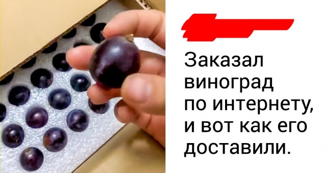 20+ абсурдних упаковок, які доводять, що проблеми екології виробників не хвилюють