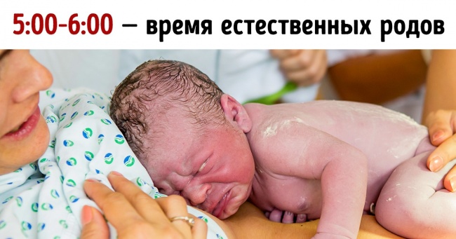 10 фактів, які відкривають всі таємниці нашого тіла