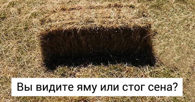 20+ фото, на яких все склалося так, що краще й не придумаєш