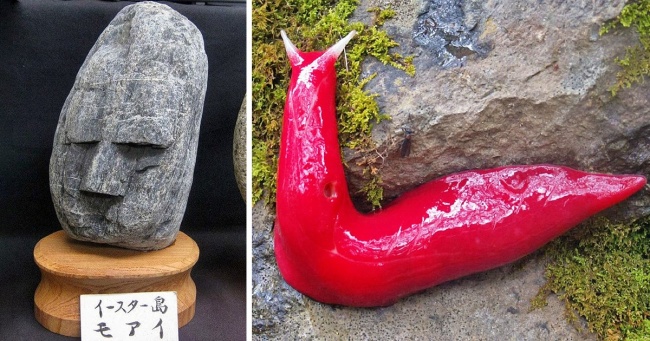 12 дивовижних речей з різних країн, яких немає більше ніде на всій планеті