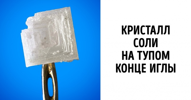 20+ фотографій того, як виглядають прості речі при багаторазовому збільшенні