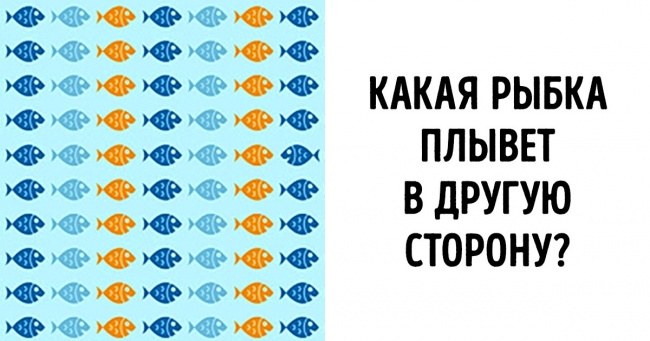 9 завдань, які допоможуть визначити, наскільки у вас пильне око