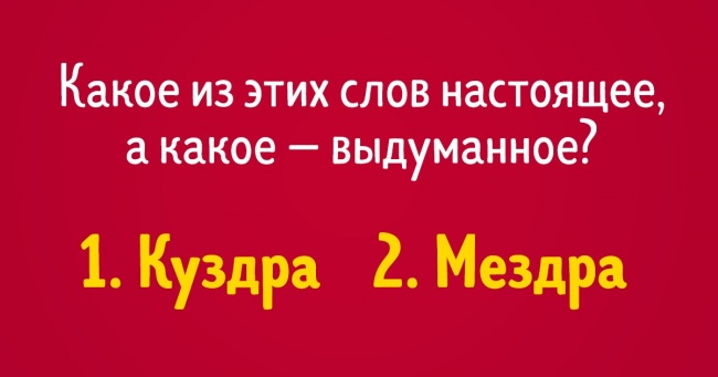 Тест: чи Зможете ви відрізнити 15 вигаданих слів від реально існуючих?