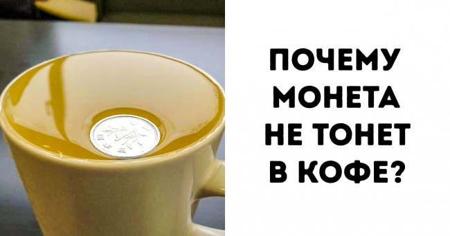 8 японських загадок, розгадати які можна, якщо тільки гарненько помізкувати