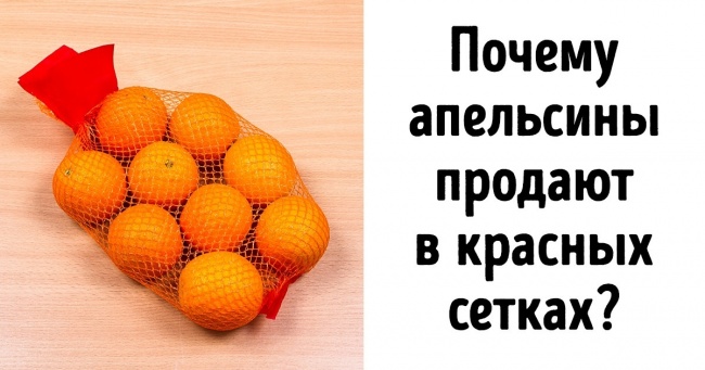 Ви зможете відповісти на ці питання без допомоги гугла? Обіцяємо, деякі відповіді вас здивують
