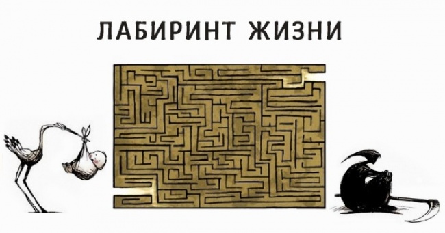 15 гострих ілюстрацій про те, що наш світ — одна суцільна іронія