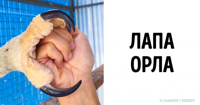 17 речей, побачивши які ви захочете сказати тільки одне слово: «Про-фі-геть!»