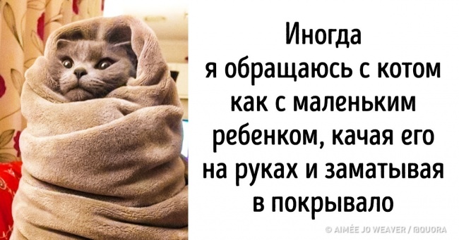 Ми всі робимо одні і ті ж дивні речі, але ніхто не знає навіщо
