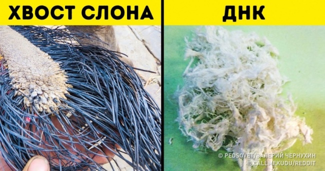 10 речей, про які всі чули, але мало хто бачив